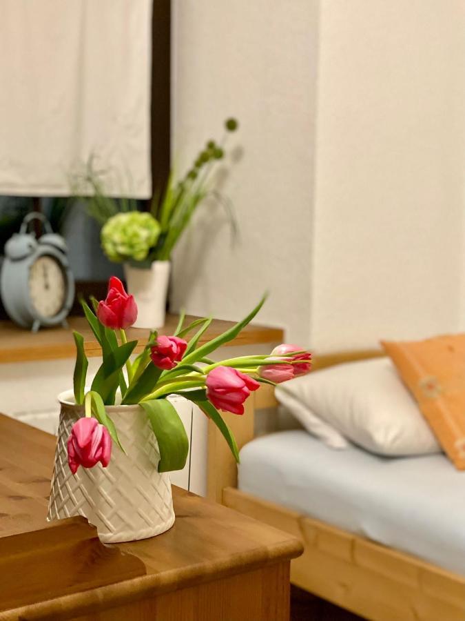 Ferienwohnung Am Weinberg Meißen Dış mekan fotoğraf